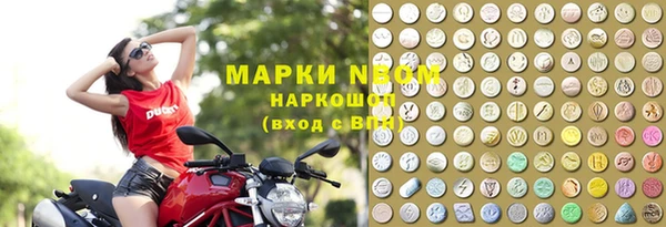 spice Горняк