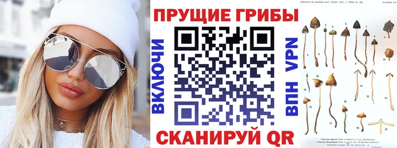 Псилоцибиновые грибы GOLDEN TEACHER  наркотики  Елабуга 